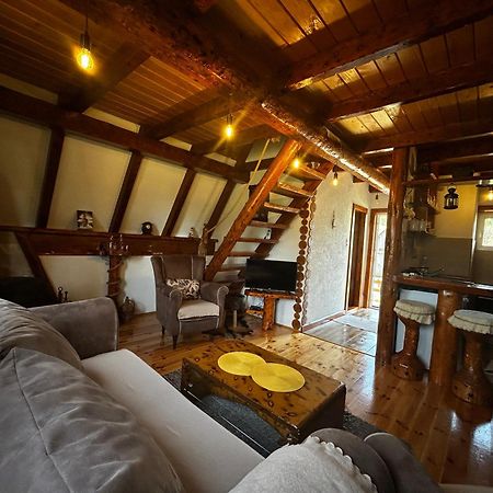 Vila Sarigora Žabljak Exteriér fotografie