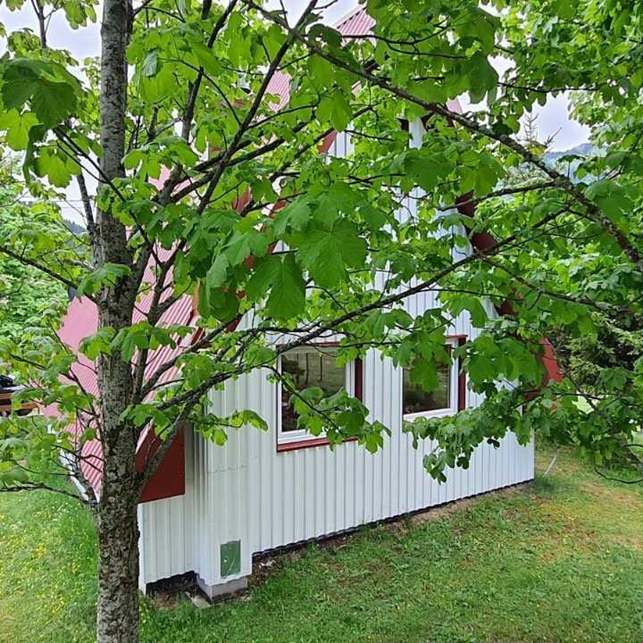 Vila Sarigora Žabljak Exteriér fotografie
