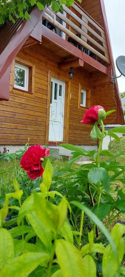 Vila Sarigora Žabljak Exteriér fotografie