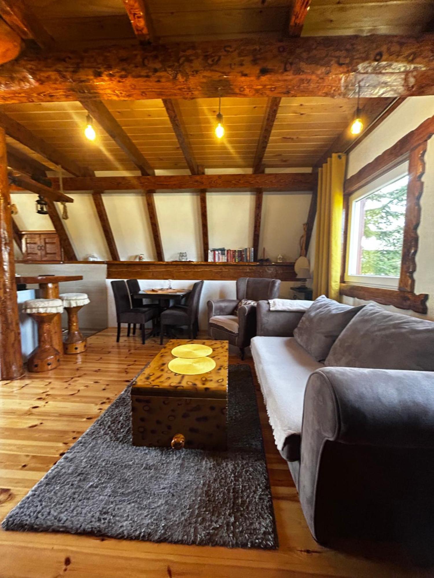Vila Sarigora Žabljak Exteriér fotografie